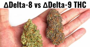 Contrasting Medical Benefits: Delta 8 vs. Delta 9 THC