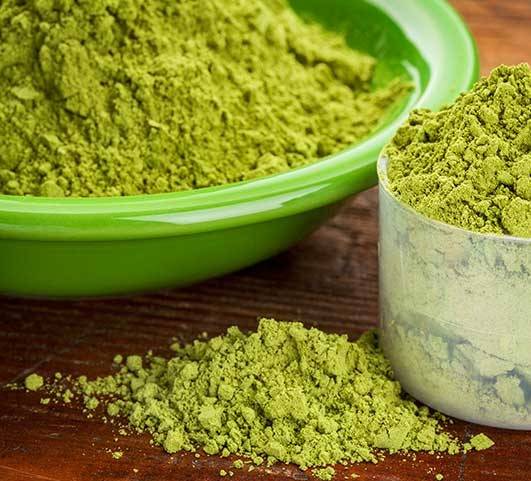 The Ultimate Guide to Understanding Different Kratom Strains