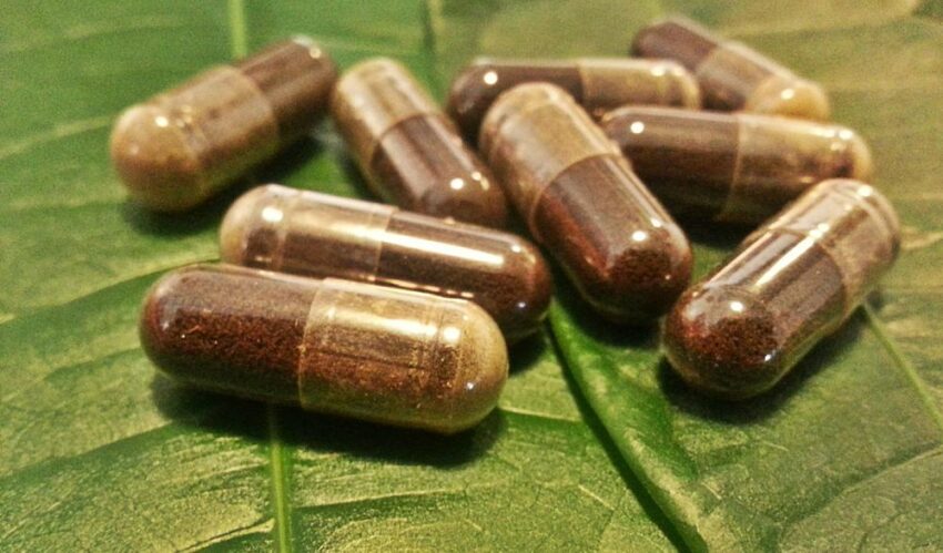 The Ultimate Guide to Understanding Different Kratom Strains