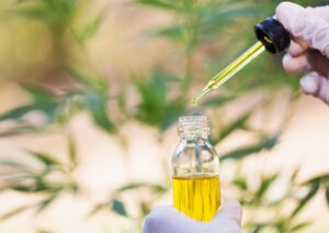 How to Find High-Quality Organic CBD Oil in Toronto?