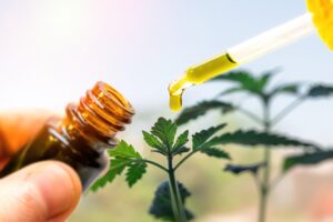 Organic CBD Oil Toronto